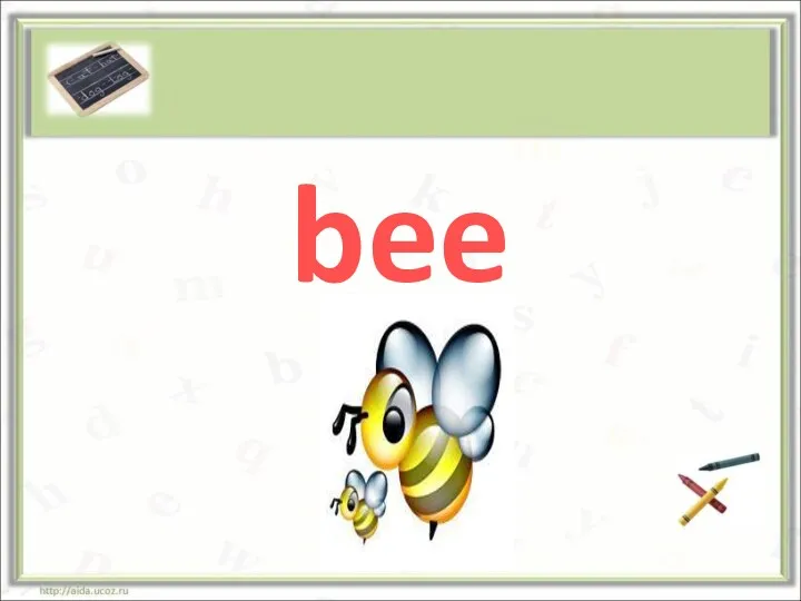 bee