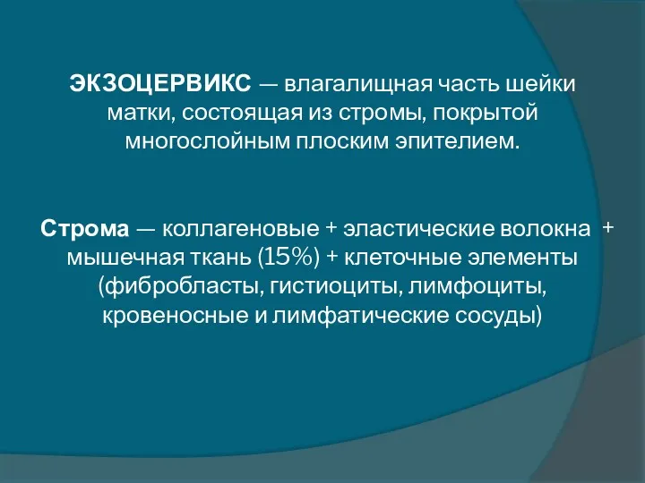 ЭКЗОЦЕРВИКС — влагалищная часть шейки матки, состоящая из стромы, покрытой