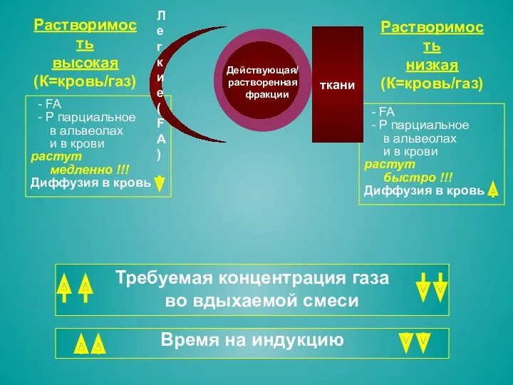 - FA - Р парциальное в альвеолах и в крови