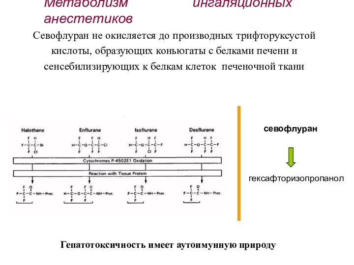 севофлуран гексафторизопропанол Севофлуран не окисляется до производных трифторуксустой кислоты, образующих