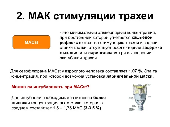 2. МАК стимуляции трахеи - это минимальная альвеолярная концентрация, при