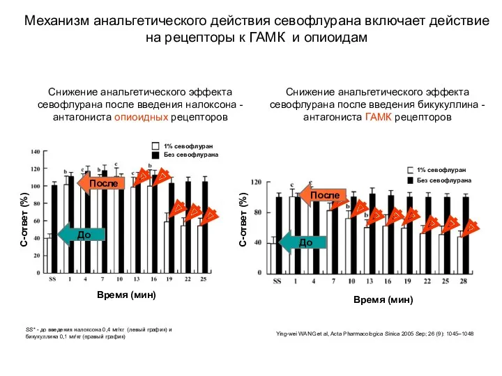 Механизм анальгетического действия севофлурана включает действие на рецепторы к ГАМК