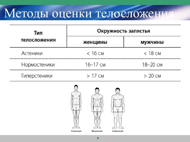 Методы оценки телосложения