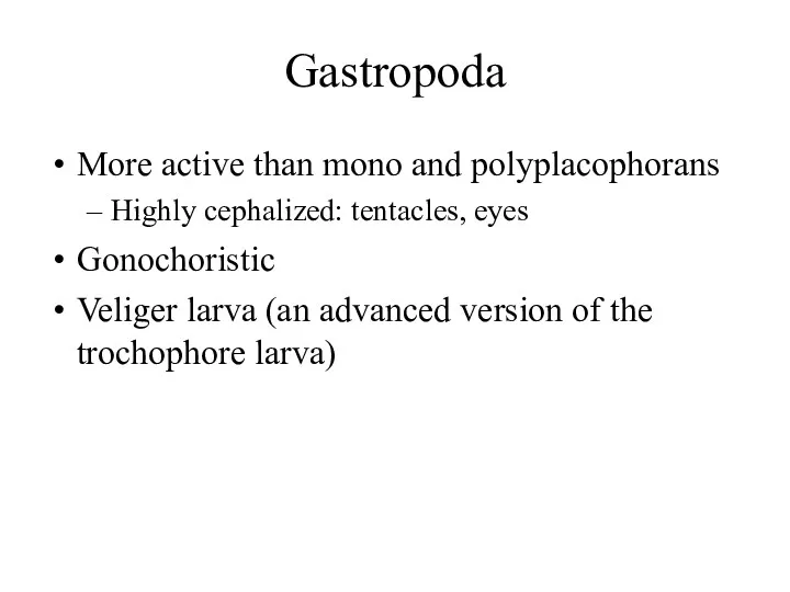 Gastropoda More active than mono and polyplacophorans Highly cephalized: tentacles,