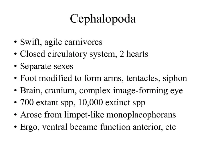 Cephalopoda Swift, agile carnivores Closed circulatory system, 2 hearts Separate