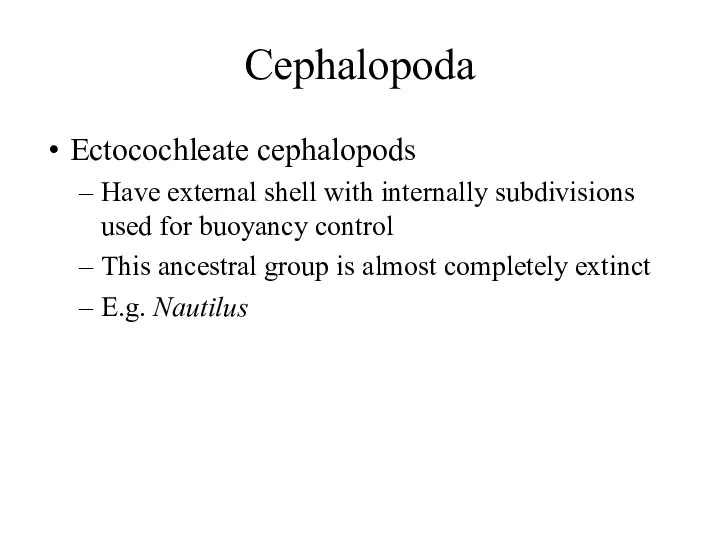 Cephalopoda Ectocochleate cephalopods Have external shell with internally subdivisions used