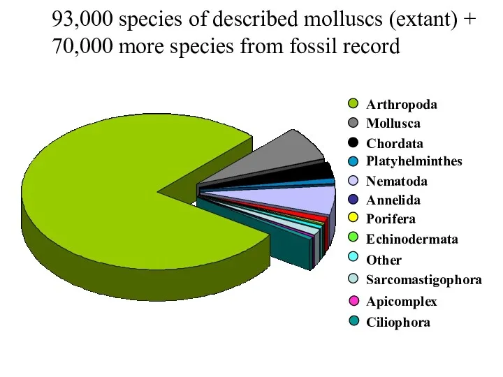 93,000 species of described molluscs (extant) + 70,000 more species from fossil record