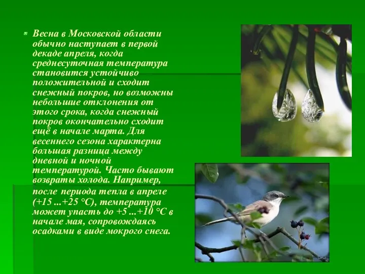 Весна в Московской области обычно наступает в первой декаде апреля,