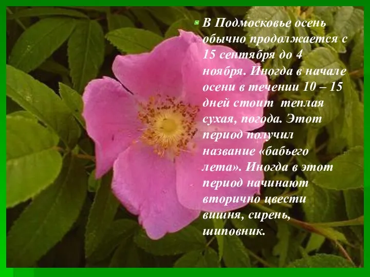 В Подмосковье осень обычно продолжается с 15 сентября до 4