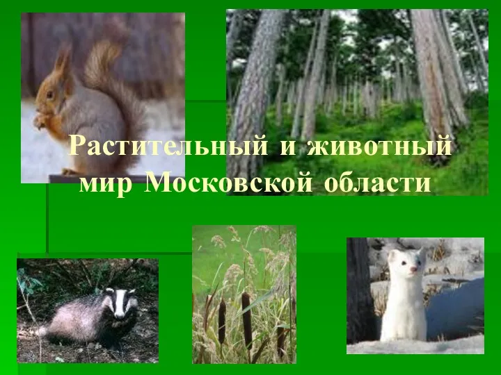 Растительный и животный мир Московской области