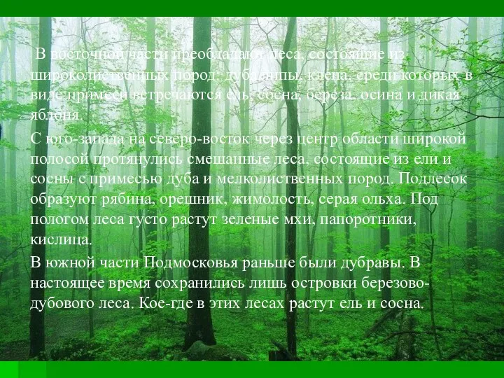 В восточной части преобладают леса, состоящие из широколиственных пород: дуба.липы,