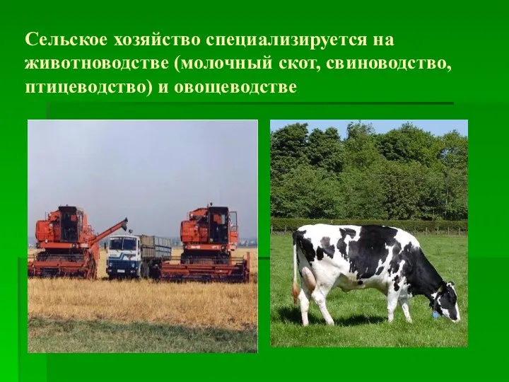 Сельское хозяйство специализируется на животноводстве (молочный скот, свиноводство, птицеводство) и овощеводстве