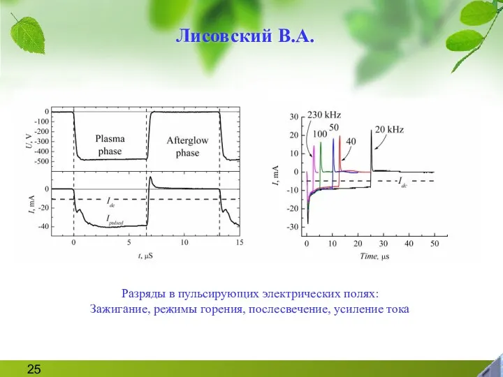 Лисовский В.А. Разряды в пульсирующих электрических полях: Зажигание, режимы горения, послесвечение, усиление тока