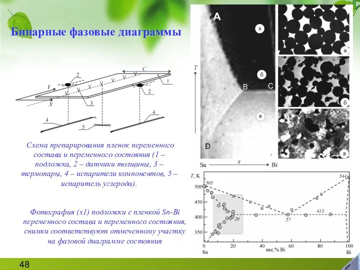 Бинарные фазовые диаграммы Фотография (x1) подложки с пленкой Sn-Bi переменного состава и переменного