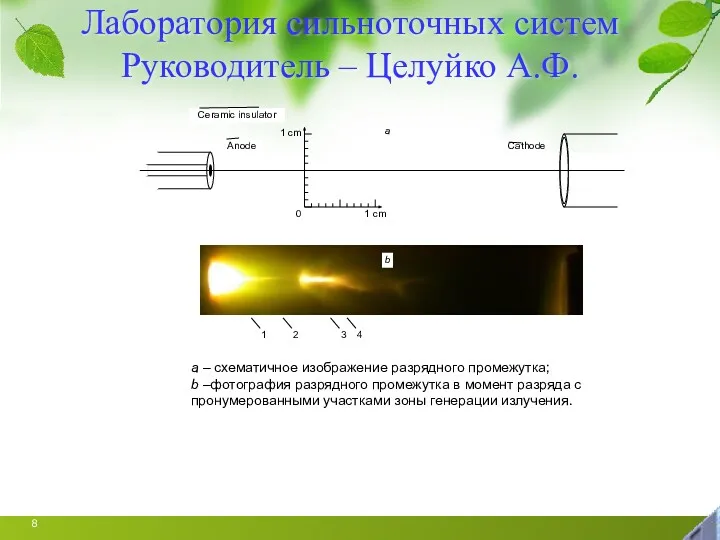 Лаборатория сильноточных систем Руководитель – Целуйко А.Ф.