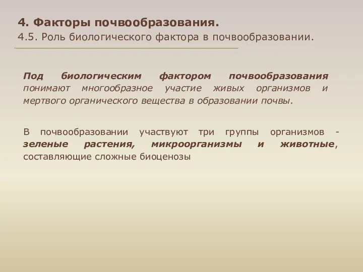 4. Факторы почвообразования. 4.5. Роль биологического фактора в почвообразовании. Под