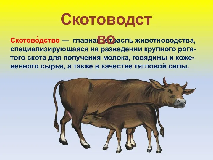 Скотово́дство — главная отрасль животноводства, специализирующаяся на разведении крупного рога-того
