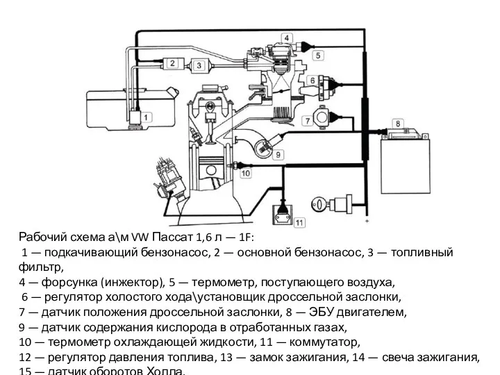 Рабочий схема а\м VW Пассат 1,6 л — 1F: 1