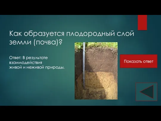 Как образуется плодородный слой земли (почва)? Ответ: В результате взаимодействия живой и неживой природы. Показать ответ