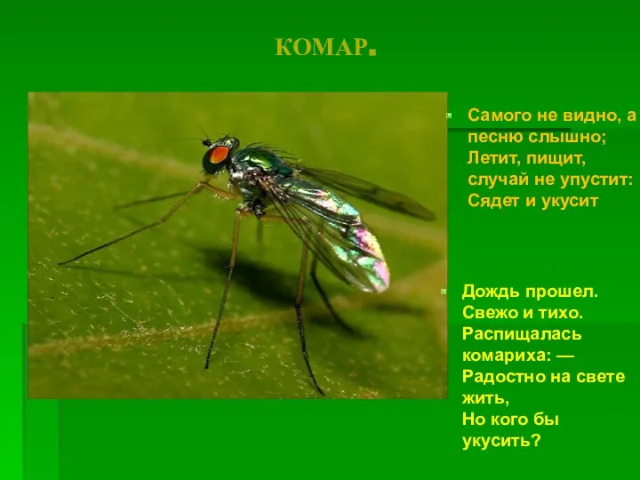 КОМАР. Самого не видно, а песню слышно; Летит, пищит, случай не упустит: Сядет