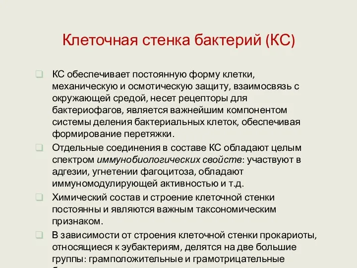 Клеточная стенка бактерий (КС) КС обеспечивает постоянную форму клетки, механическую и осмотическую защиту,