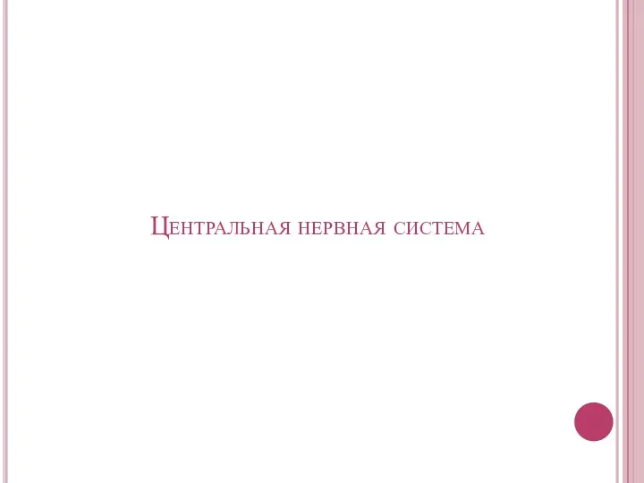 Центральная нервная система