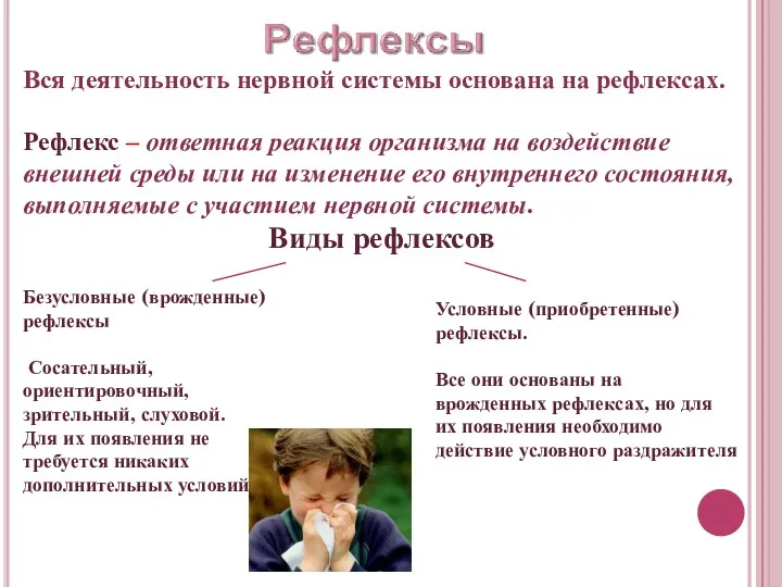 Вся деятельность нервной системы основана на рефлексах. Рефлекс – ответная