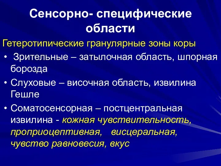 Сенсорно- специфические области Гетеротипические гранулярные зоны коры Зрительные – затылочная