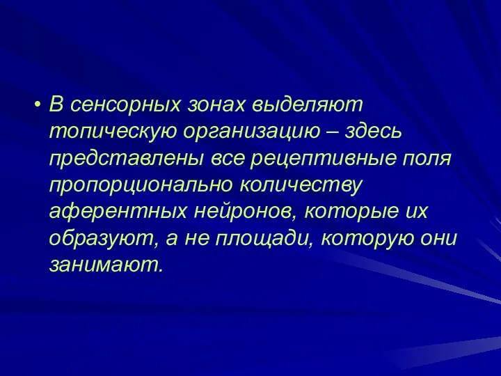 В сенсорных зонах выделяют топическую организацию – здесь представлены все