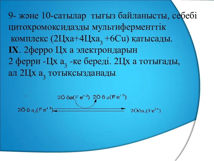 9- және 10-сатылар тығыз байланысты, себебі цитохромоксидазды мультиферменттік комплекс (2Цха+4Цха3 +6Сu) қатысады. IX.