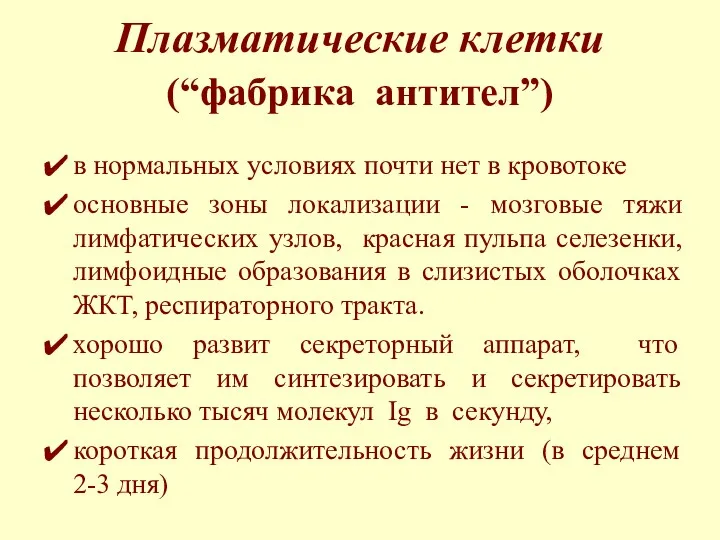 Плазматические клетки (“фабрика антител”) в нормальных условиях почти нет в