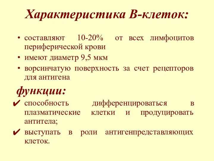 Характеристика В-клеток: составляют 10-20% от всех лимфоцитов периферической крови имеют