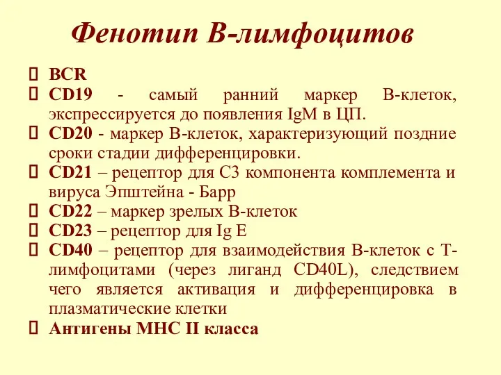 Фенотип В-лимфоцитов BCR CD19 - самый ранний маркер В-клеток, экспрессируется