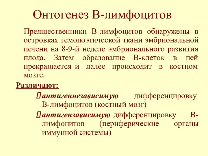 Онтогенез В-лимфоцитов Предшественники В-лимфоцитов обнаружены в островках гемопоэтической ткани эмбриональной