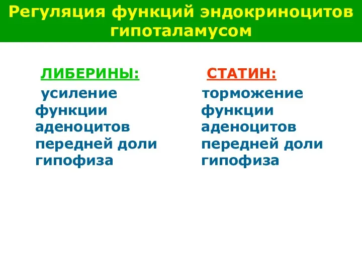 ЛИБЕРИНЫ: усиление функции аденоцитов передней доли гипофиза СТАТИН: торможение функции