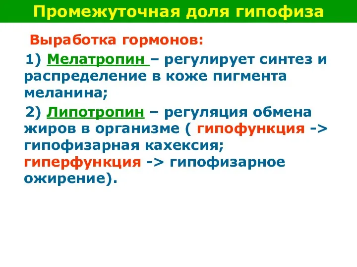 Выработка гормонов: 1) Мелатропин – регулирует синтез и распределение в