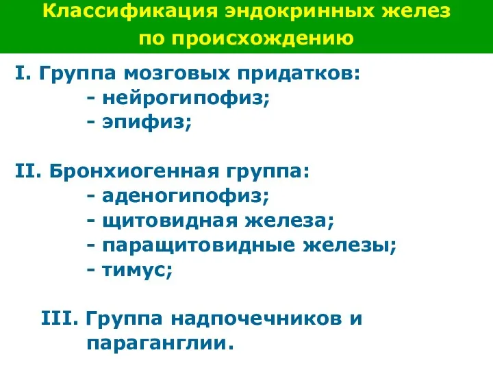 I. Группа мозговых придатков: - нейрогипофиз; - эпифиз; II. Бронхиогенная