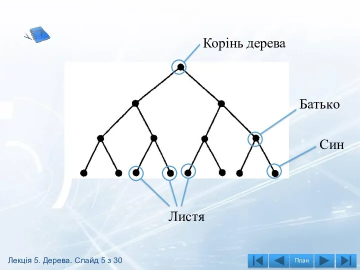 Корінь дерева Батько Син Листя Лекція 5. Дерева. Слайд 5 з 30