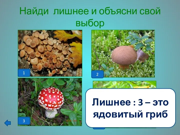 Найди лишнее и объясни свой выбор 1 2 Лишнее : 3 – это ядовитый гриб
