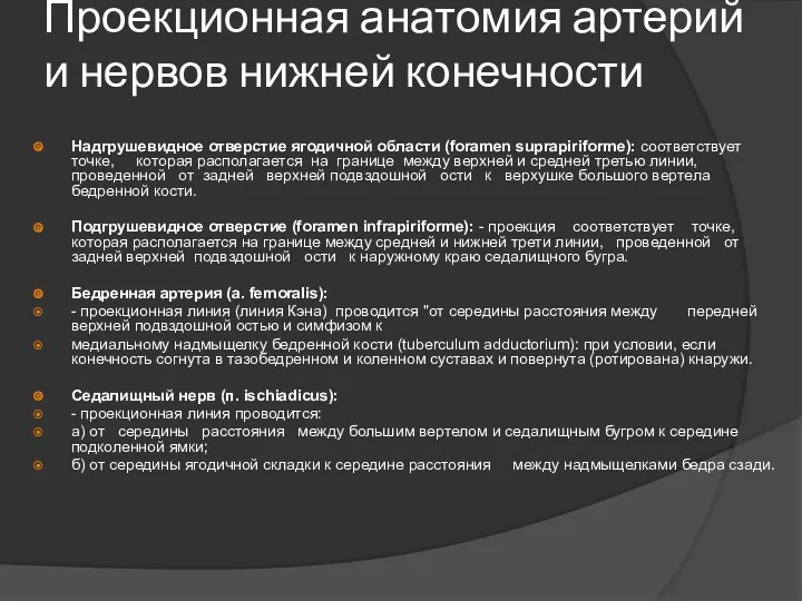 Проекционная анатомия артерий и нервов нижней конечности Надгрушевидное отверстие ягодичной области (foramen suprapiriforme):