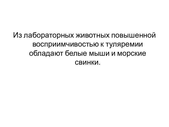 Из лабораторных животных повышенной восприимчивостью к туляремии обладают белые мыши и морские свинки.