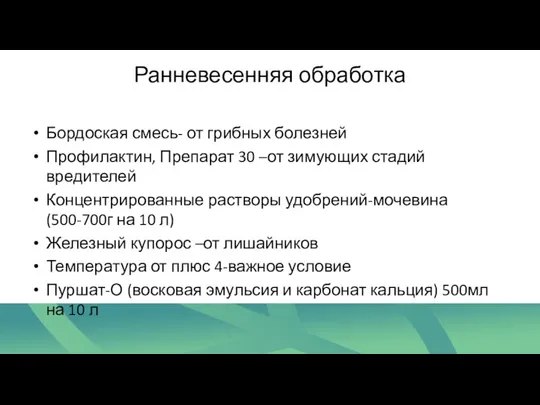 Ранневесенняя обработка Бордоская смесь- от грибных болезней Профилактин, Препарат 30