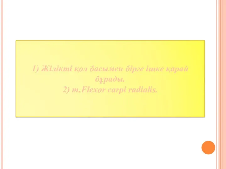 1) Жілікті қол басымен бірге ішке қарай бұрады. 2) m.Flexor carpi radialis.