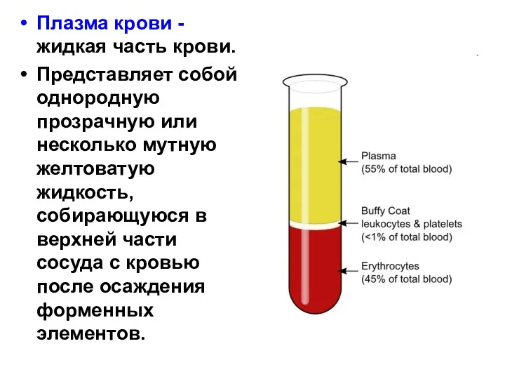 Плазма крови - жидкая часть крови. Представляет собой однородную прозрачную