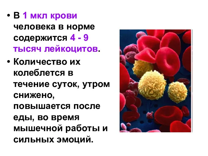 В 1 мкл крови человека в норме содержится 4 -