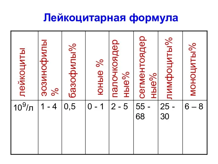 Лейкоцитарная формула лейкоциты эозинофилы% базофилы% юные % палочкоядер ные% сегментоядерные% лимфоциты% моноциты%