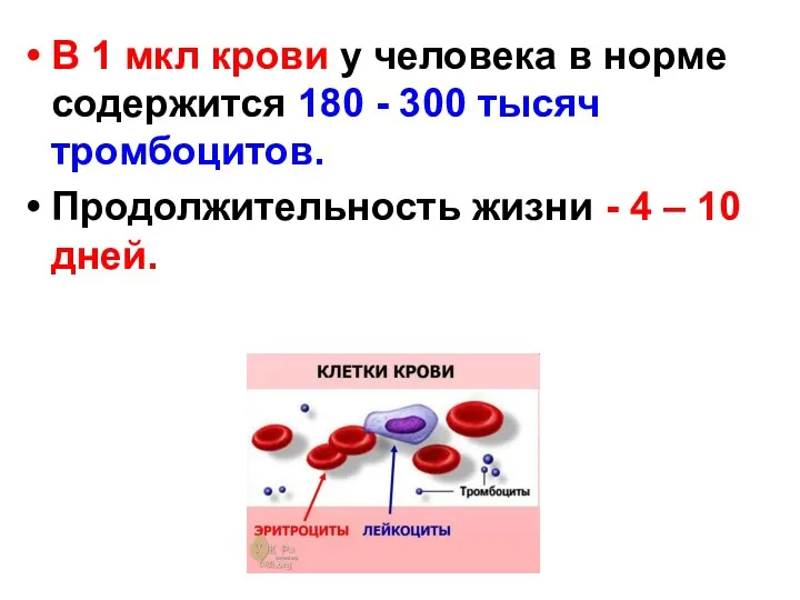 В 1 мкл крови у человека в норме содержится 180