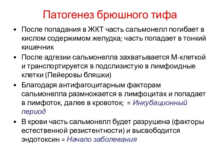 Патогенез брюшного тифа После попадания в ЖКТ часть сальмонелл погибает