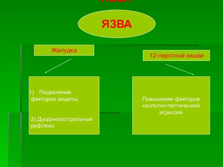 ЯЗВА ЯЗВА Желудка 12-перстной кишки Подавление факторов защиты; 2) Дуоденогастральный рефлюкс Повышение факторов кислотно-пептической агрессии