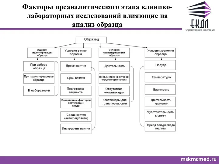 Факторы преаналитического этапа клинико-лабораторных исследований влияющие на анализ образца mskmcmed.ru